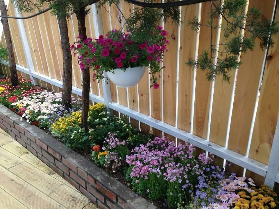 Sunshine Guesthouse Seul 0*,  Güney Kore
